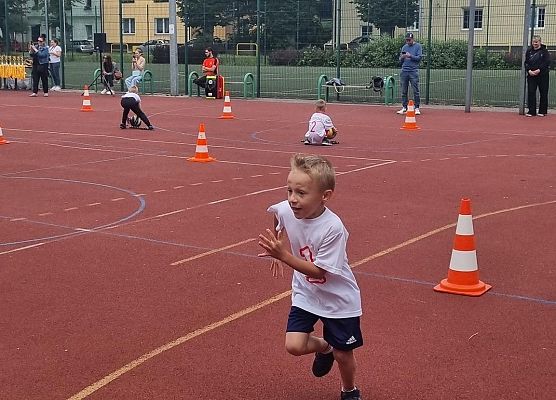 MISIAKI  I  ŻABKI  NA  IGRZYSKACH  SPORTOWYCH grafika